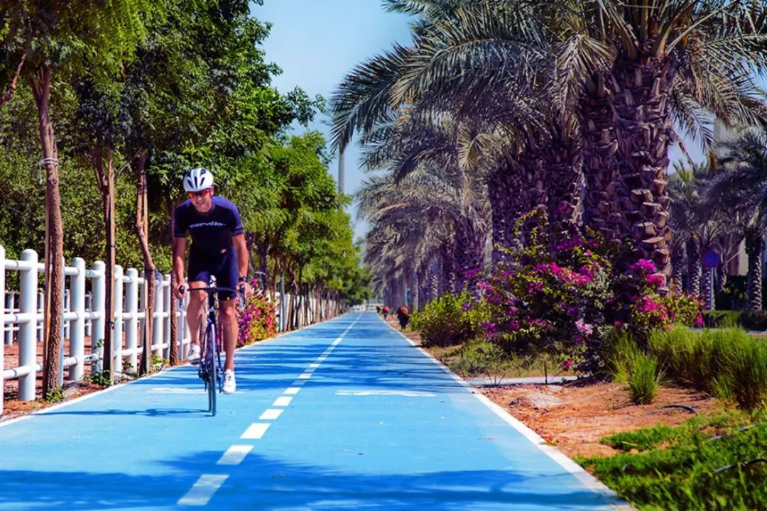 The Sustainable City, la piste cyclable